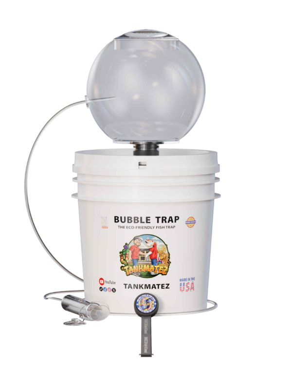 tankmatez aquarium fish traps - bubble fish trap